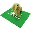 Good-Day Deodorant Mat for Pets